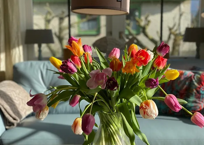 Strandperle 44 * Julianadorp