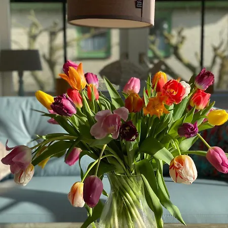 Strandperle 44 * Julianadorp